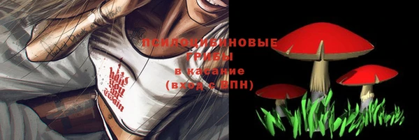 метамфетамин Белокуриха